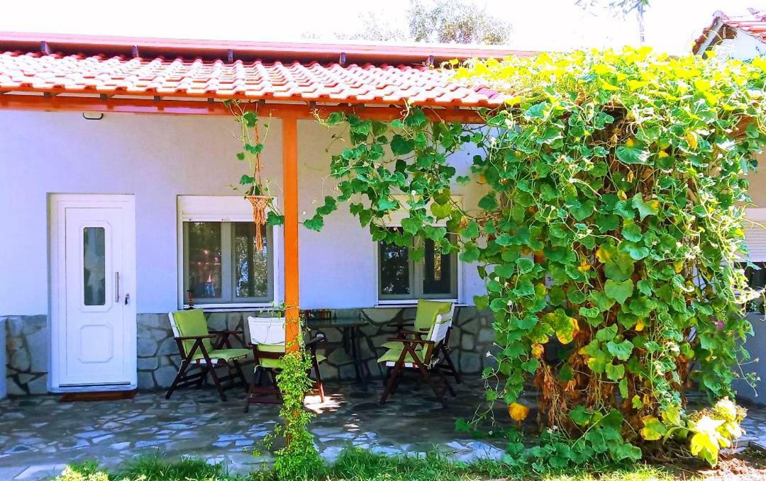 Cristi Apartments Skala Rachoni  Exterior photo